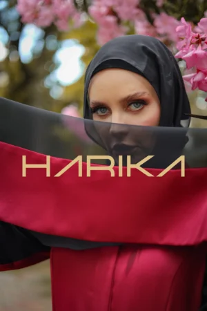 Chiffon Shawl